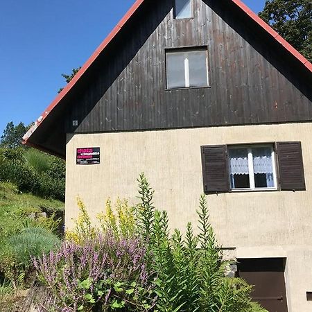 Chata U Koupaliste Chřibská Buitenkant foto