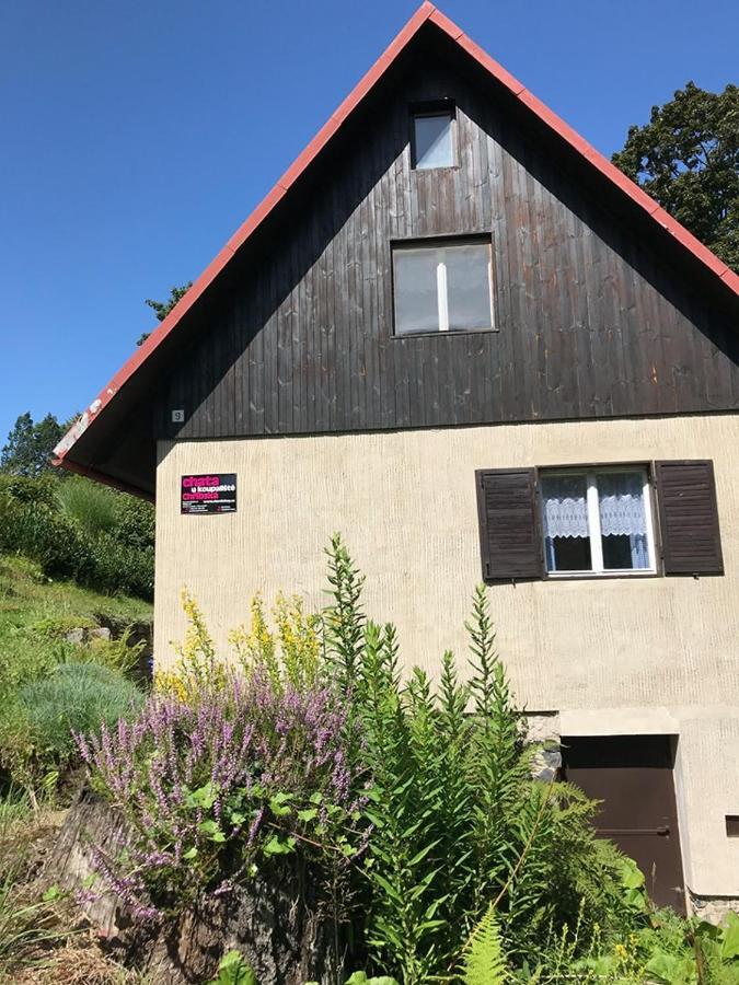 Chata U Koupaliste Chřibská Buitenkant foto